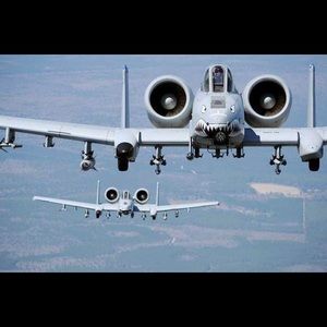 Meet your Posher, Tom